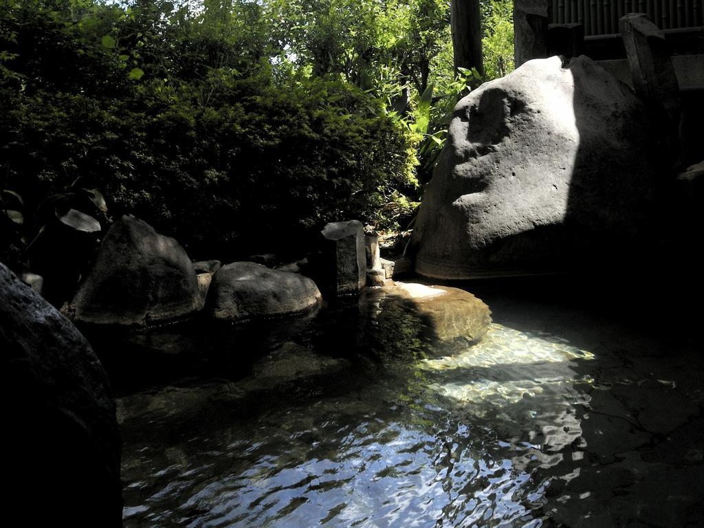 Gora Hanaougi Hakone Extérieur photo