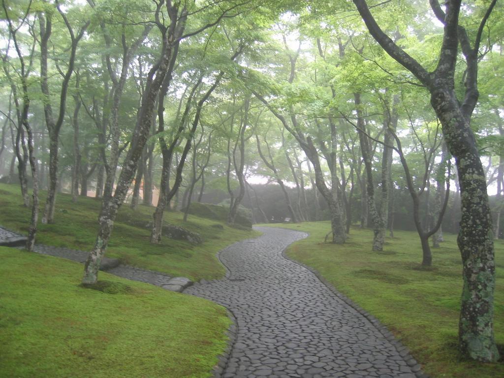 Gora Hanaougi Hakone Extérieur photo