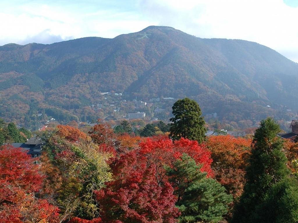 Gora Hanaougi Hakone Extérieur photo