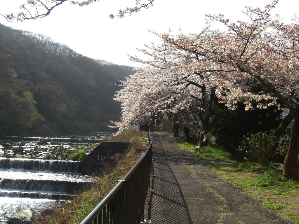 Gora Hanaougi Hakone Extérieur photo