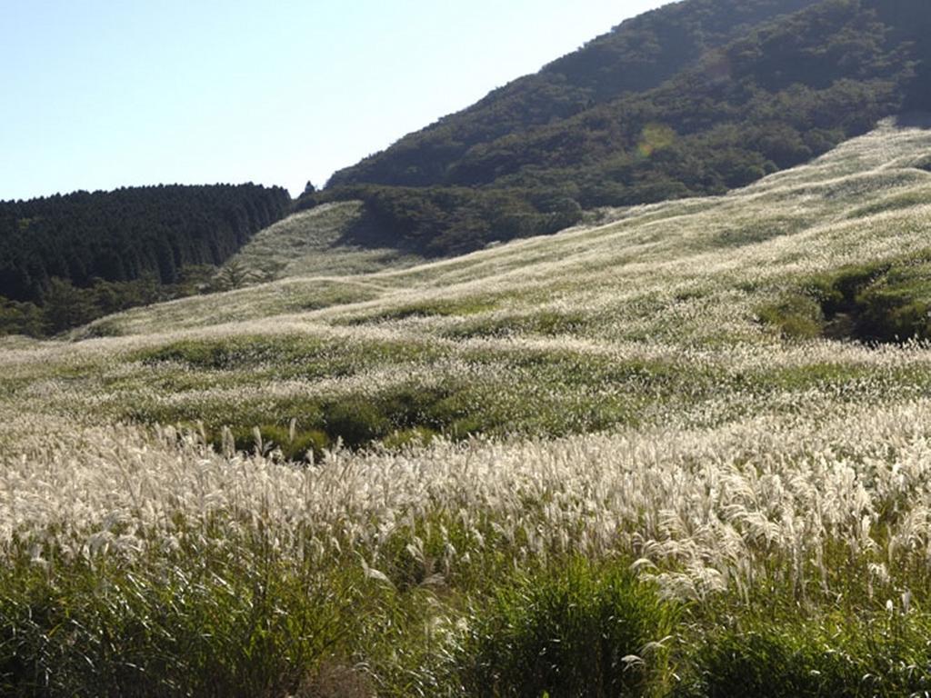 Gora Hanaougi Hakone Extérieur photo